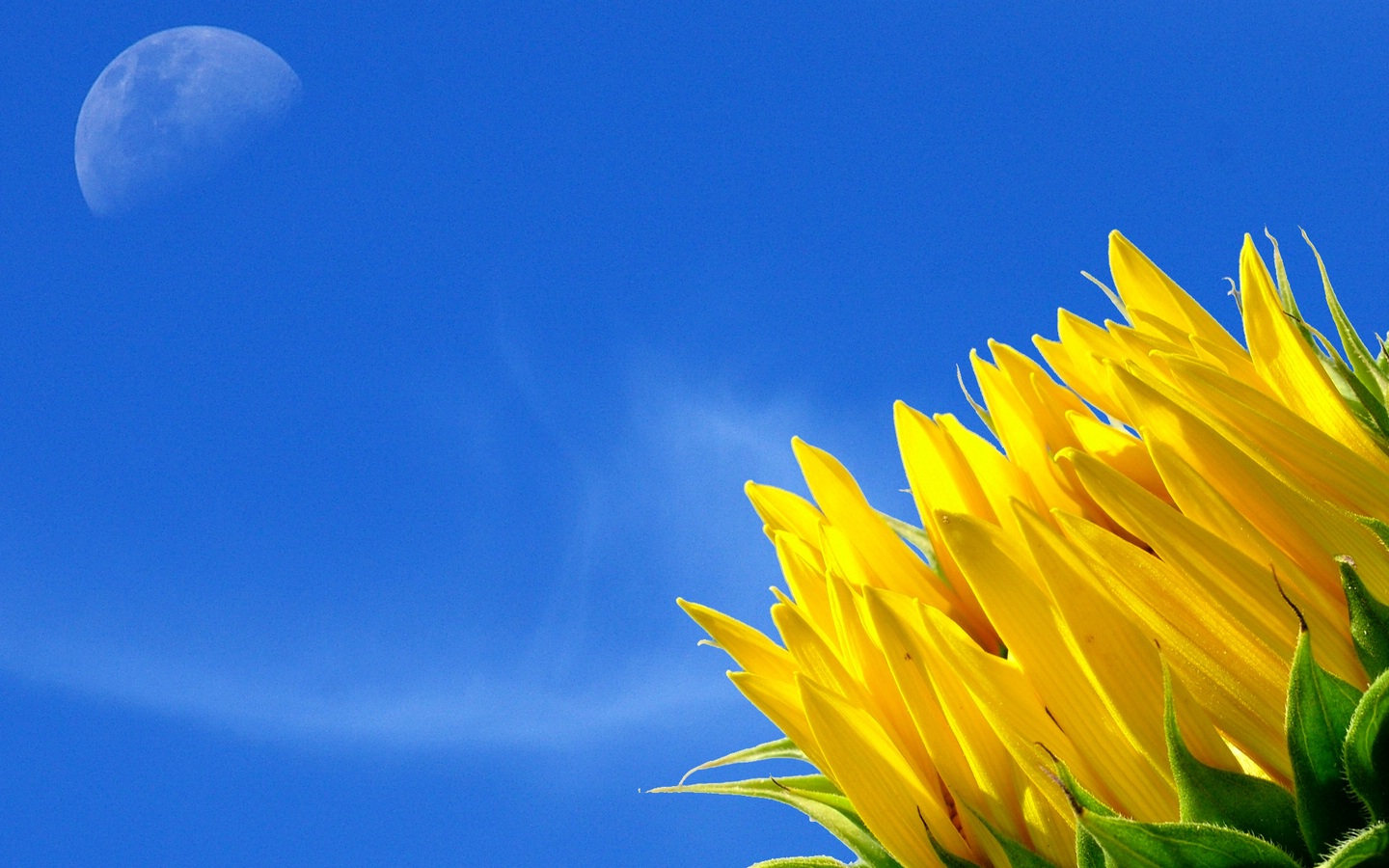 ��(bi��o) �}:�����������(xi��ng)Ŀ�M(j��n)�塱��(sh��)�`Ч����Ե��l(xi��ng)��߉݋
�� �ߣ�������
�� ��:2015-08-31 10:09:16
�c(di��n) ��:9350