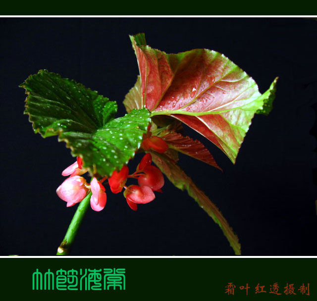 �� �}:���x�͵ȣ����������еę�(qu��n)�������c�ƶ��ؘ�(g��u)
�� �ߣ����x��
�� ��:2015-06-24 17:23:38
�c ��:3023