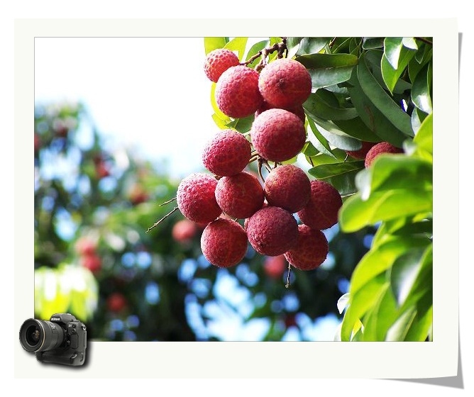 ��(bi��o) �}:�Rѩ�壺Փ�r(n��ng)�����ؼ��w�����Ƶă�(y��u)��
�� �ߣ��Rѩ��
�� ��:2017-07-13 10:49:27
�c(di��n) ��:8568