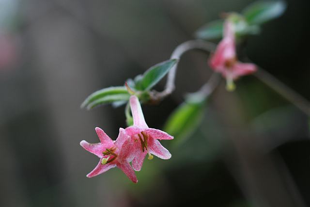 �� �}:�����ǣ��ӵؚ�����`��
�� �ߣ�������
�� ��:2012-09-03 15:52:41
�c ��:2786