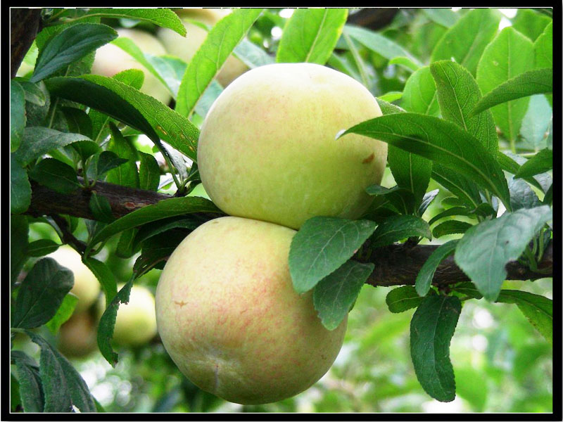 �� �}:�Rѩ�壺�^�ڏ��s�������ƶ������؁y�����Ҫԭ��
�� �ߣ��Rѩ��
�� ��:2018-08-20 11:04:36
�c ��:14091