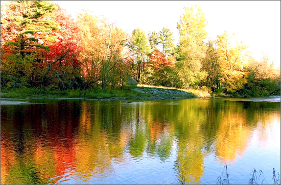 �� �}:�W��o�����r(n��ng)�彨�O(sh��)�����������ֻ��Ј�����
�� �ߣ��W��o
�� ��:2007-11-29 18:27:02
�c ��:876