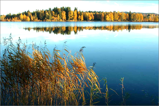 ��(bi��o) �}:����ȫС�r(n��ng)��ͥ���l(xi��ng)�����(hu��)׃�w��������Ӣɽ�ܼҵ���{(di��o)��֮��
�� �ߣ��ε���
�� ��:2008-01-21 19:26:34
�c(di��n) ��:682