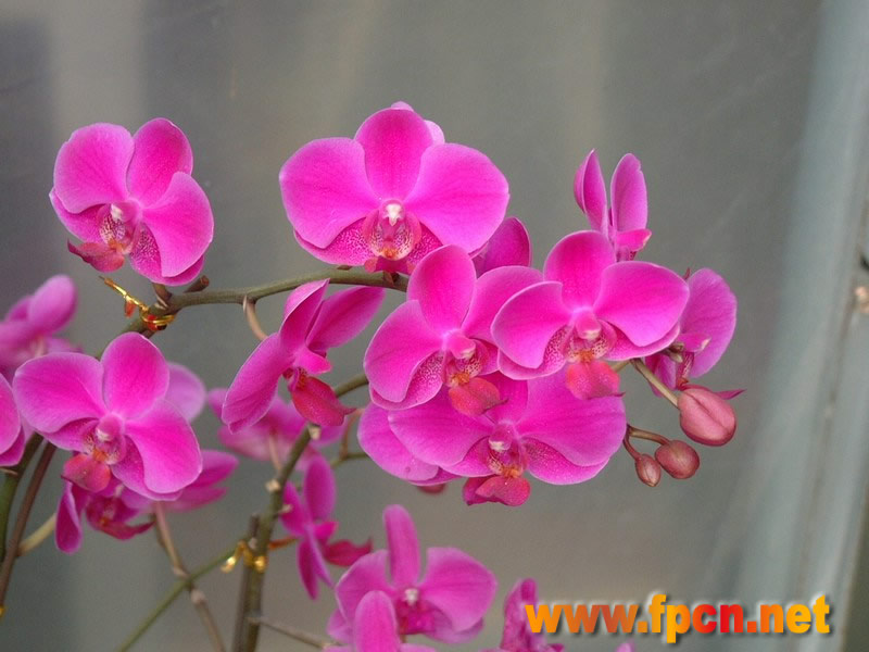 ��(bi��o) �}:��ɫ���䡷���Ʋ��� Ӱ�u������o�h������
�� �ߣ�snzg
�� ��:2007-11-15 16:43:17
�c(di��n) ��:413