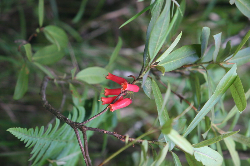 ��(bi��o) �}:�����£���Ⱥ����������
�� �ߣ�������
�� ��:2007-11-24 12:44:43
�c(di��n) ��:344