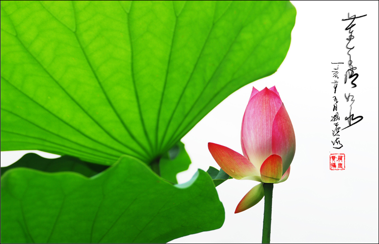 �� �}:�������M���x�c�l(xi��ng)��ǰ;
�� �ߣ�����
�� ��:2008-04-03 11:58:05
�c ��:212