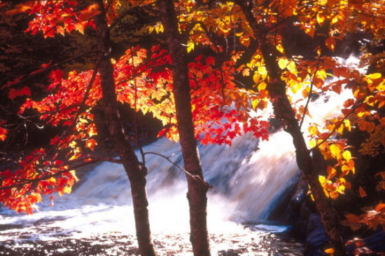 �� �}:�S�����������Ї��l(xi��ng)���о�����6݋Ŀ�
�� �ߣ��S����
�� ��:2009-01-22 14:48:57
�c ��:2621