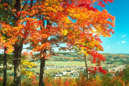 ��(bi��o) �}:�r(n��ng)�������ƶȸĸ�Ľ�(j��ng)��(j��)߉݋�Ͳݸ���(j��ng)�(y��n)
�� �ߣ����ڿ�
�� ��:2009-02-21 14:17:02
�c(di��n) ��:1059