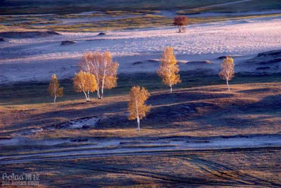 ��(bi��o) �}:Σ�C(j��)�к��Ԇ���(d��ng)�r(n��ng)���(n��i)����
�� �ߣ��Z���� �Z����(w��n)
�� ��:2009-02-24 00:14:53
�c(di��n) ��:1796