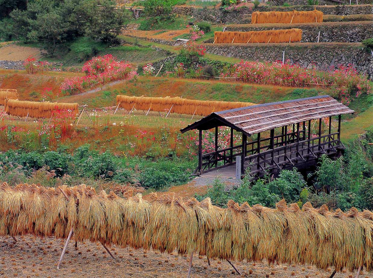 ��(bi��o) �}:��կ��N�B(y��ng)�I(y��)����(d��n)���f(xi��)���ĳ������r(n��ng)������I(y��)��һ������
�� �ߣ��λ���
�� ��:2009-03-11 21:54:44
�c ��:1454