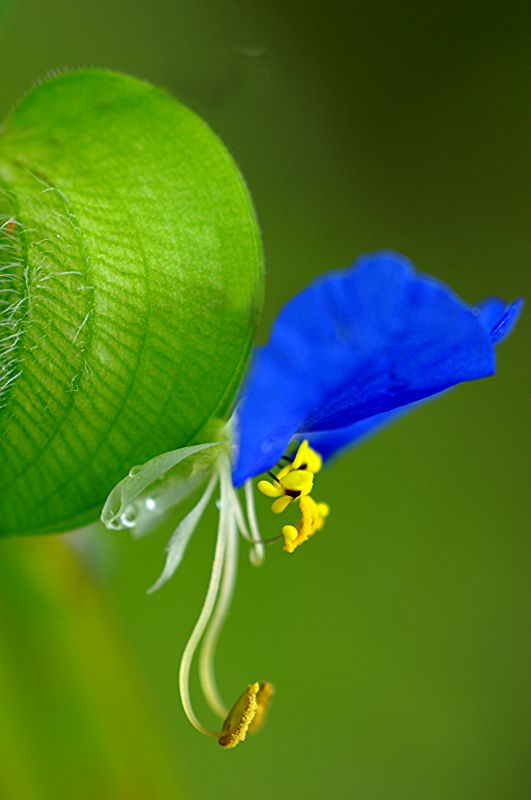 ��(bi��o) �}:�O���A��ԇՓ�������ں���ʡ�r(n��ng)���������(qu��n)���O(sh��)
�� �ߣ��O���A
�� ��:2009-06-23 12:03:03
�c(di��n) ��:6219