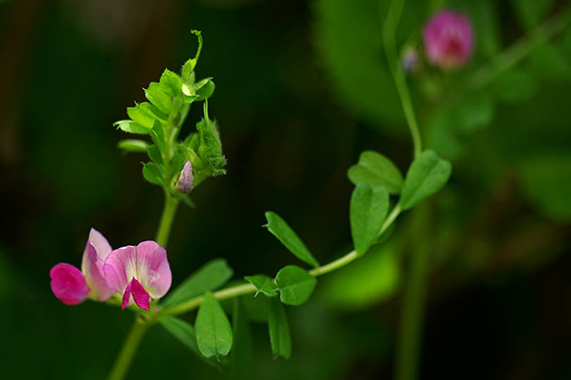 ��(bi��o) �}:�Rѩ��:һ�����a(ch��n)�I(y��)�ںϿ��������r(n��ng)���������
�� �ߣ��Rѩ��
�� ��:2018-09-23 08:54:27
�c(di��n) ��:15273