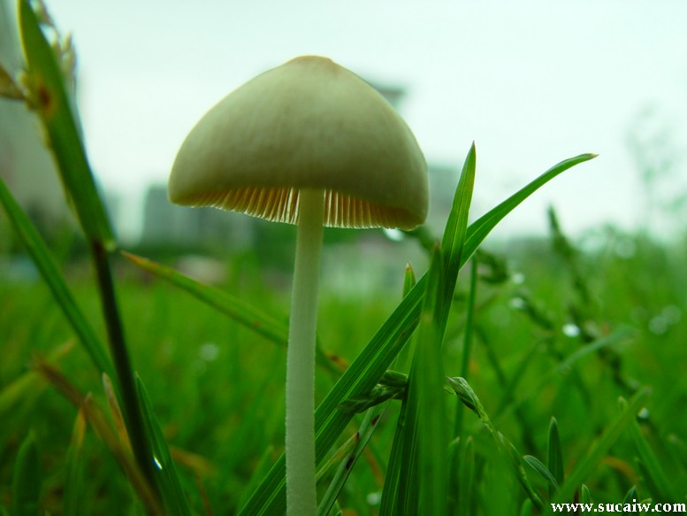 �� �}:���ܺƣ�ý�鼴��Ϣ����Ϣ���ڱ�
�� �ߣ����ܺ�
�� ��:2012-08-08 00:07:04
�c ��:1275