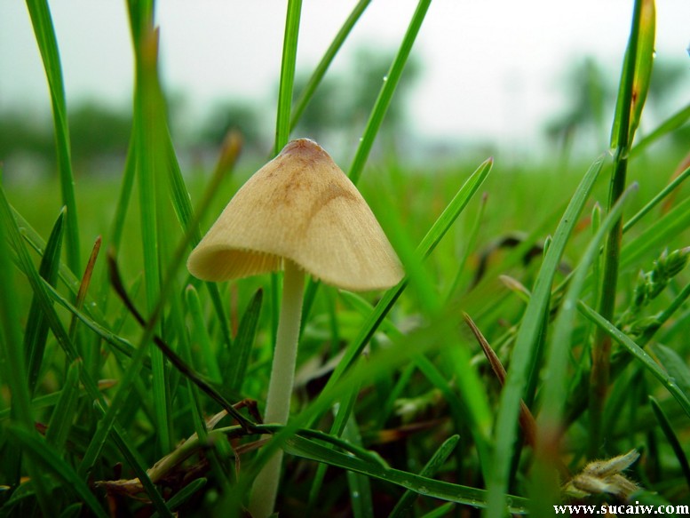 ��(bi��o) �}:�S�����y�����s�ĕr(sh��)��
�� �ߣ��S��
�� ��:2009-09-08 23:55:36
�c(di��n) ��:1143