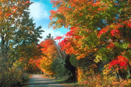 ��(bi��o) �}:�����A�����|�{(di��o)���S��
�� �ߣ������A
�� ��:2009-09-08 00:35:47
�c(di��n) ��:1089