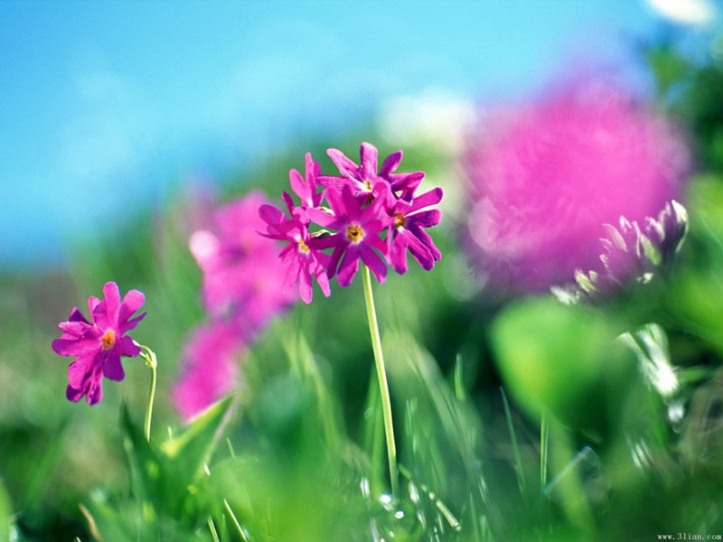 ��(bi��o) �}:������P���񹤼�ͥ���л���(j��ng)��(j��)�l������
�� �ߣ�������P
�� ��:2009-09-16 23:11:04
�c(di��n) ��:1082