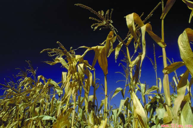 ��(bi��o) �}:���P����(d��ng)ǰ�l(xi��ng)��ڄ����͘I(y��)�����g�Y(ji��)��(g��u)����
�� �ߣ����P
�� ��:2009-09-21 18:35:28
�c(di��n) ��:3452