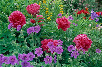 ��(bi��o) �}:�S���ǣ����ӌW(xu��)��(x��)��ʹ����Փ��
�� �ߣ��S����
�� ��:2023-12-07 07:37:47
�c(di��n) ��:2517