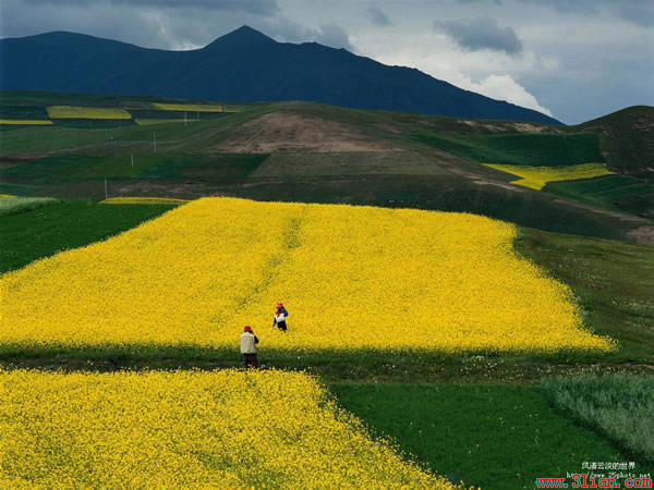 �� �}:��������[��������Ұ
�� �ߣ�����
�� ��:2013-09-11 23:10:55
�c ��:2912