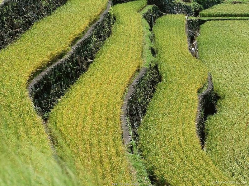 �� �}:�����Լ�ͥ�r(n��ng)�����Ї�С�r(n��ng)��(j��ng)������һ�N���_
�� �ߣ��ྚ������
�� ��:2013-12-15 21:13:42
�c ��:2519