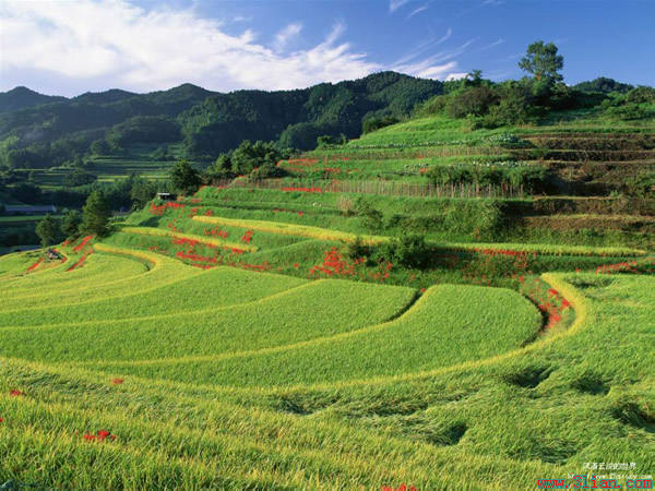 �� �}:��x�£������Y�����l(xi��ng)�ļ�ͥ�r(n��ng)�I(y��)
�� �ߣ���x��
�� ��:2013-12-17 15:27:38
�c ��:3221