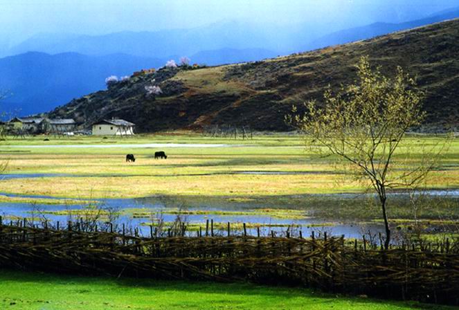 ��(bi��o) �}:�ň@�@���O������ؼ���
�� �ߣ��ň@�@
�� ��:2014-03-03 08:38:44
�c(di��n) ��:3475