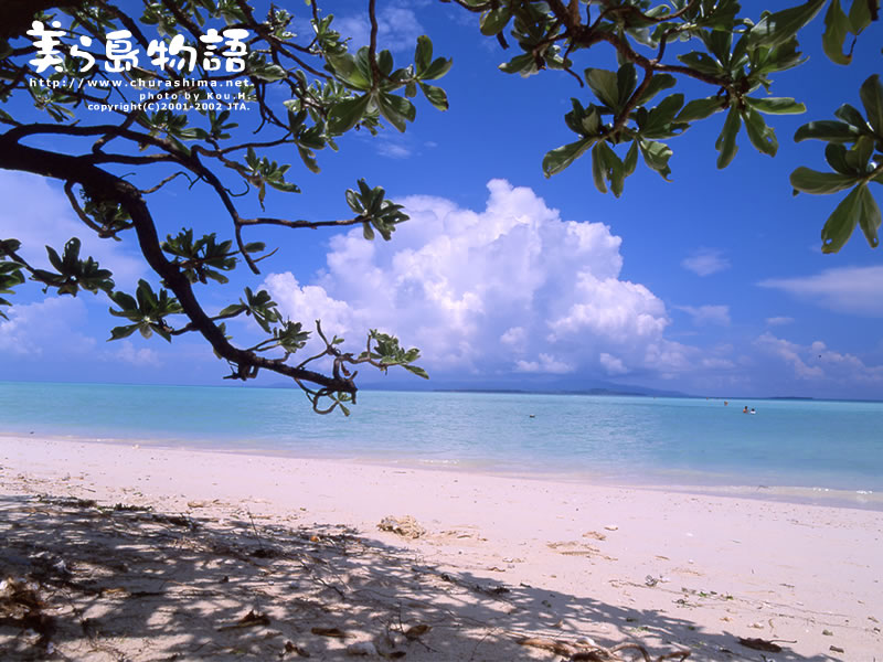 ��(bi��o) �}:���¸������X�B(y��ng)��
�� �ߣ����¸�
�� ��:2014-03-02 17:25:36
�c(di��n) ��:3966