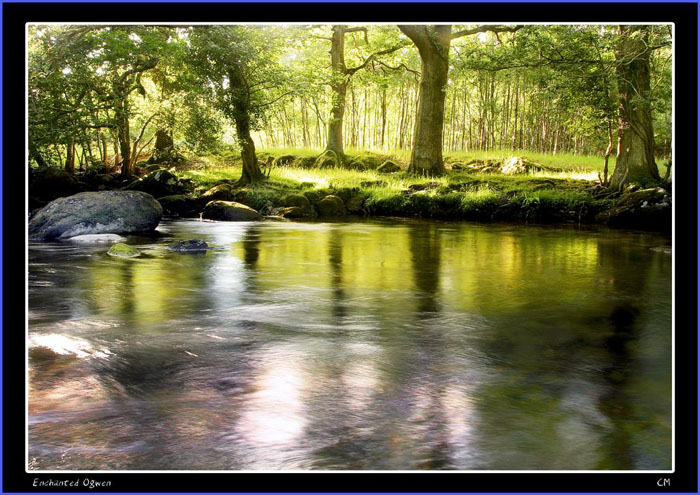 ��(bi��o) �}:���¸������߂����ġ����һ���
�� �ߣ����¸�
�� ��:2014-03-02 15:46:03
�c(di��n) ��:5129