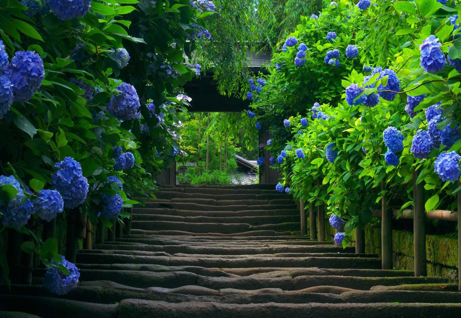 ��(bi��o) �}:�r(n��ng)�I(y��)�����L�n�L�x��������(qu��n)���á��ĸ����ش��ƶȄ�(chu��ng)��
�� �ߣ�sn
�� ��:2014-12-22 10:12:09
�c(di��n) ��:2981