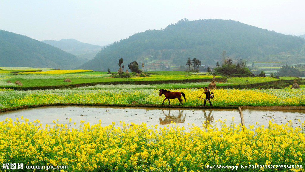 ��(bi��o) �}:���A���r(n��ng)��_ͻ����,��Ε�(hu��)�x���������ס�
�� �ߣ����A
�� ��:2015-08-06 11:51:42
�c(di��n) ��:6667