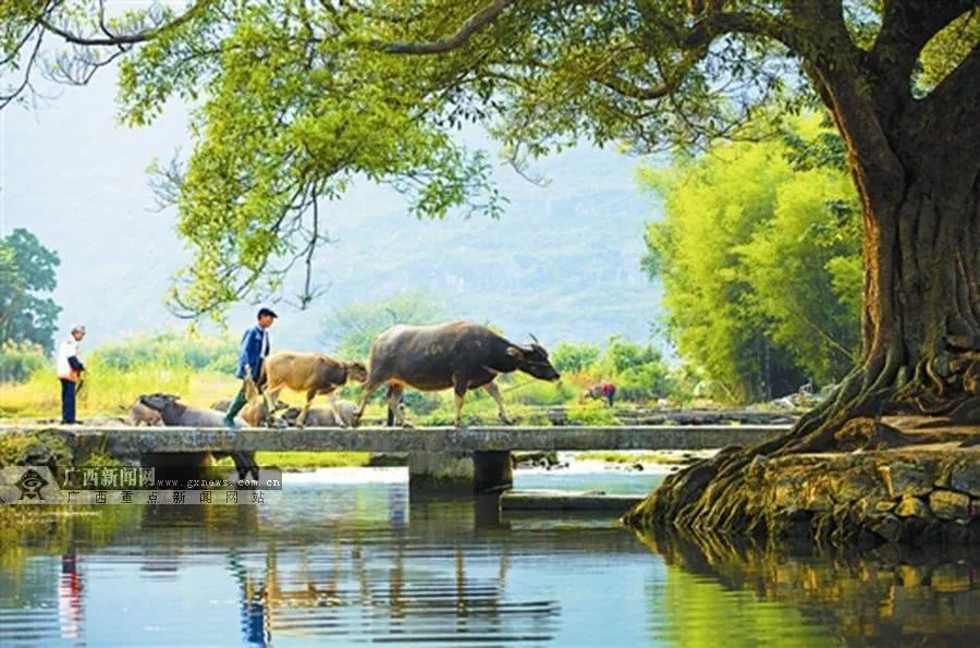 ��(bi��o) �}:�Rѩ����r(n��ng)�����|(zh��)׃������
�� �ߣ��Rѩ��
�� ��:2021-10-01 06:46:27
�c(di��n) ��:0