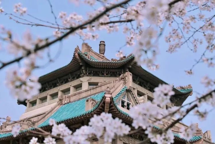 ��(bi��o) �}:�O���A�������D���c�r(n��ng)����H�P(gu��n)ϵ׃��(d��ng)
�� �ߣ��O���A
�� ��:2023-03-04 11:34:24
�c(di��n) ��:22014