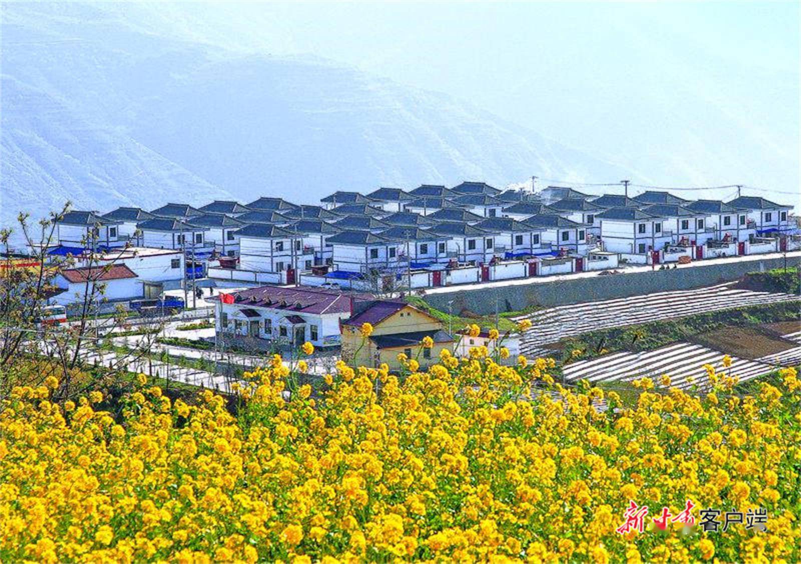 ��(bi��o) �}:�r(n��ng)�塰���Ů���o��ĸ�B(y��ng)�ϵ��ϵK���ɷ�ͬ����߀Ҫ���ֵܵđB(t��i)��
�� �ߣ�sn
�� ��:2026-02-14 07:23:24
�c(di��n) ��:0