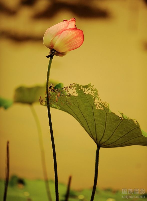 �A�пƼ���W�Ї��l(xi��ng)�������о�����2012������{(di��o)����댣�}