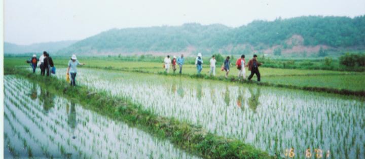 �Pע�����ع���������ӆ