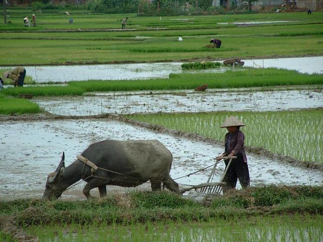 2014�괺��(ji��)���l(xi��ng)ӛ